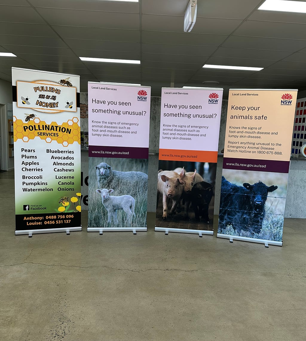StandardPullUp7 pull up banners premium